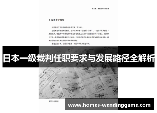 日本一级裁判任职要求与发展路径全解析