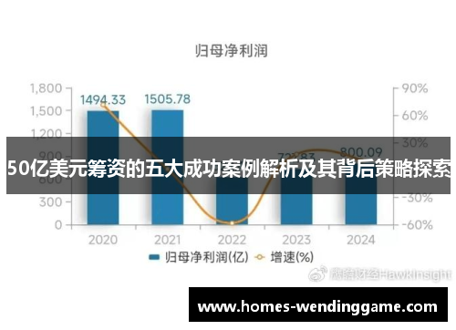 50亿美元筹资的五大成功案例解析及其背后策略探索