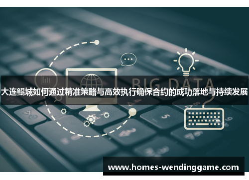 大连鲲城如何通过精准策略与高效执行确保合约的成功落地与持续发展