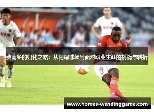 费南多的归化之路：从闪耀球场到面对职业生涯的挑战与转折