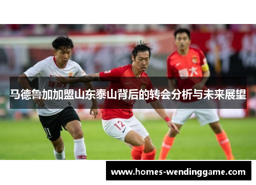 马德鲁加加盟山东泰山背后的转会分析与未来展望