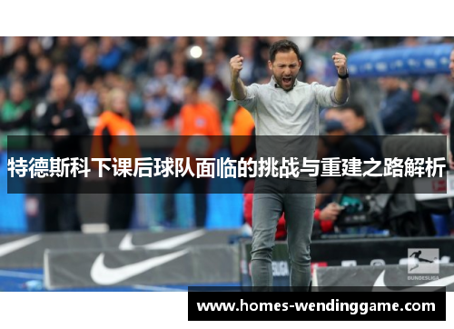 特德斯科下课后球队面临的挑战与重建之路解析