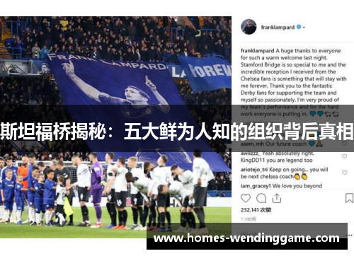 斯坦福桥揭秘：五大鲜为人知的组织背后真相