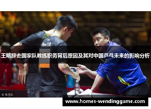 王皓辞去国家队教练职务背后原因及其对中国乒乓未来的影响分析