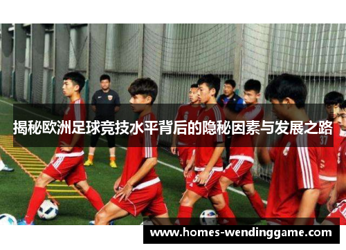 揭秘欧洲足球竞技水平背后的隐秘因素与发展之路